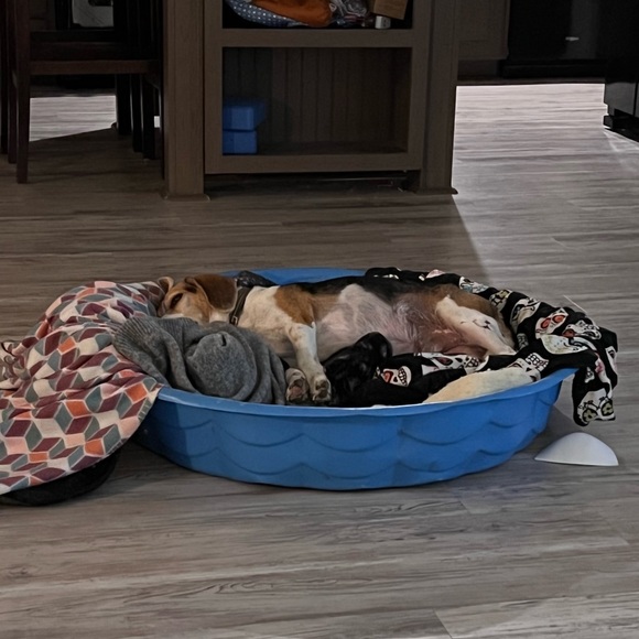 Meet your Posher, Jess - Picture 7 of 7